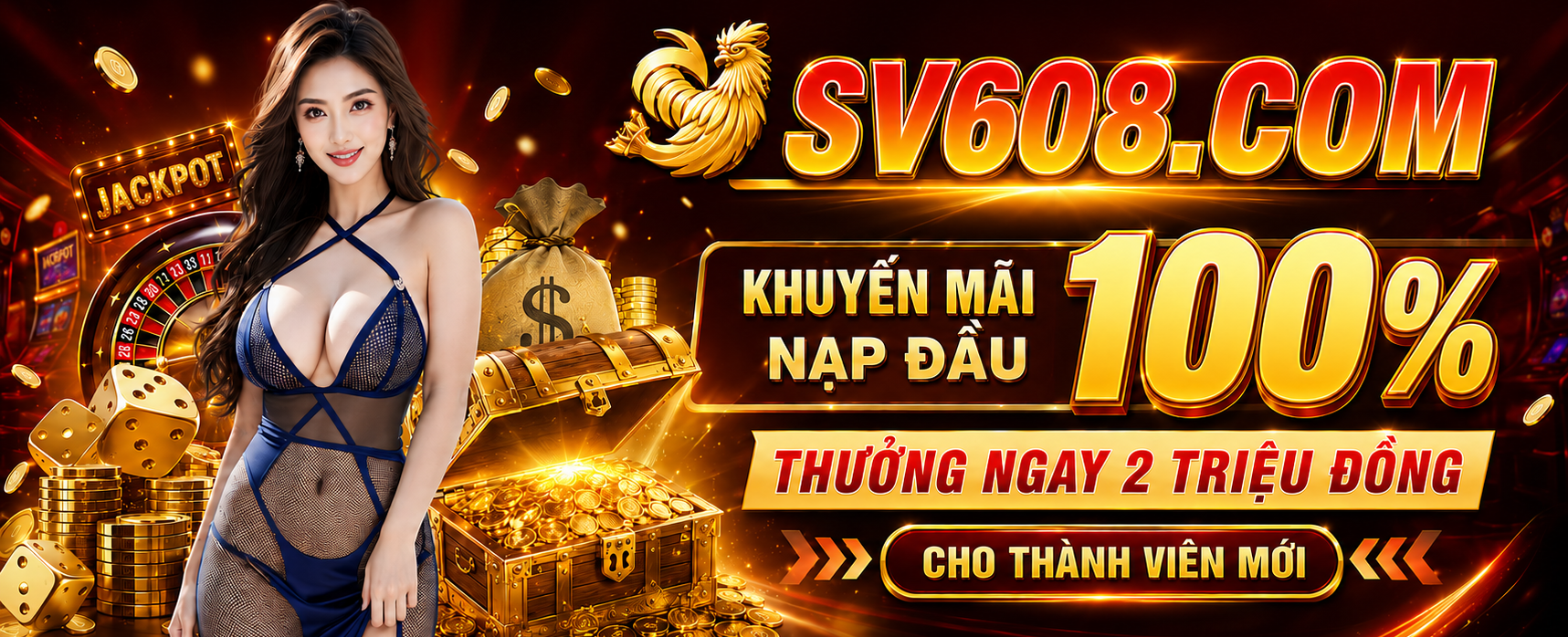 Banner SV608